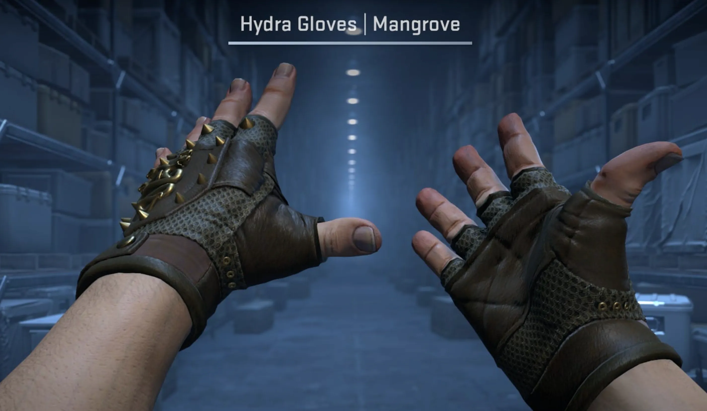 Hydra Gloves Mangrove low float